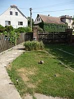Třibřichy